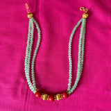 Crystal /coral golden beaded chocker